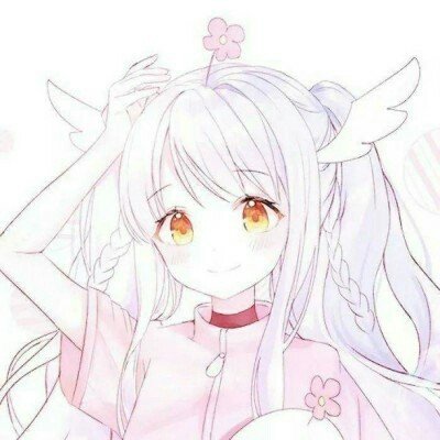 白宫公布特朗普凯旋门计划